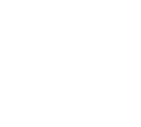 GPS tracking features: live map, statistics, route replay