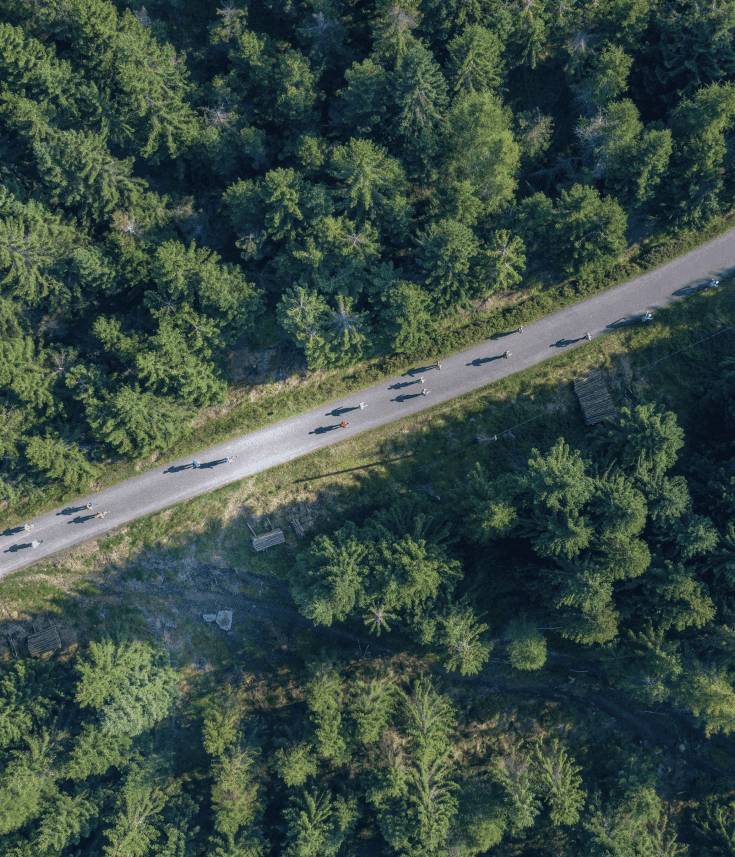 Aerial view of runners on a forest road during a GPS tracked race