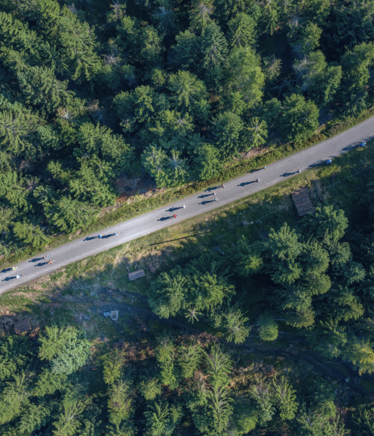 Poltrax - ŚLEDZENIE GPS NA ŻYWO